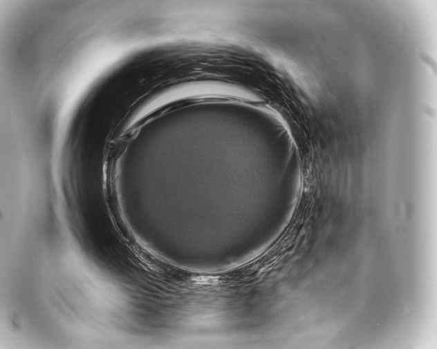 X0000095550052200712281615