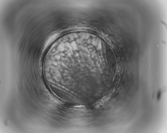 X0000095550053200712281615