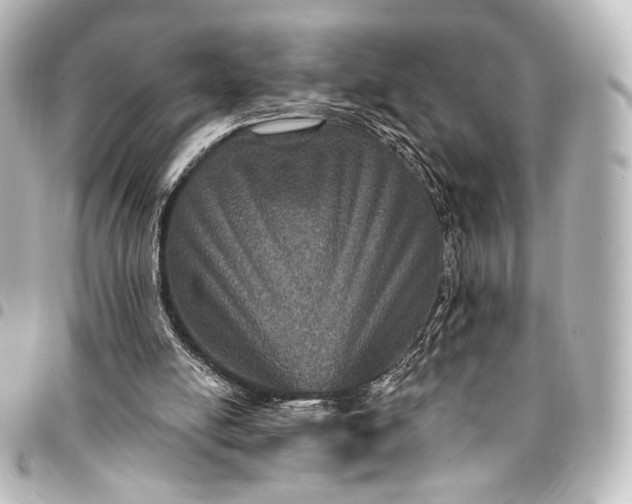 X0000095550054200712281615