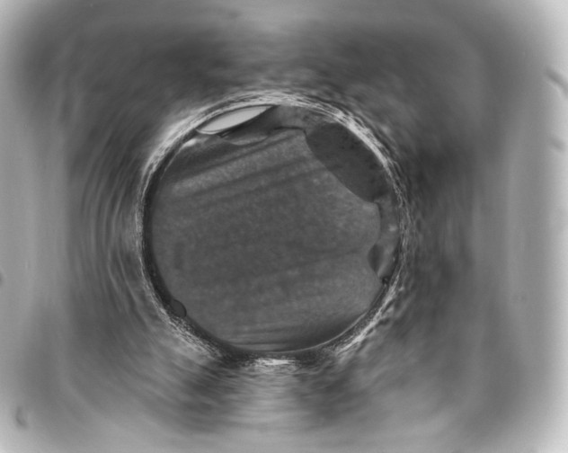 X0000095550055200712281615