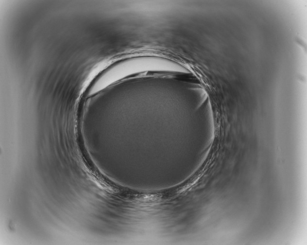 X0000095550056200712281615