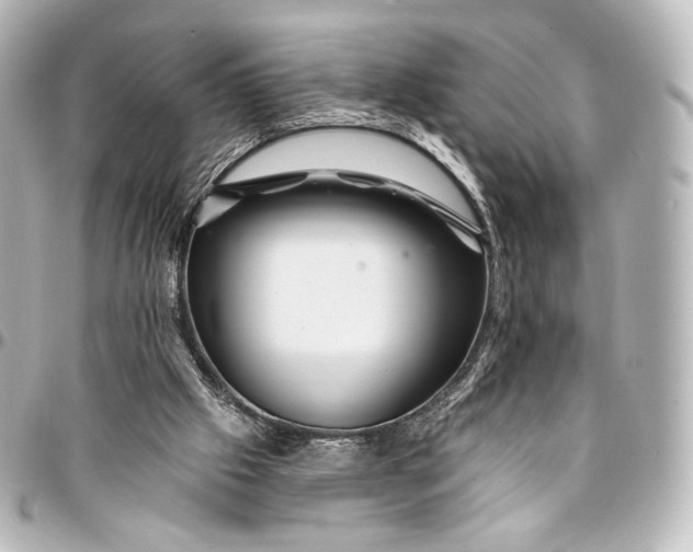 X0000095550057200712281615