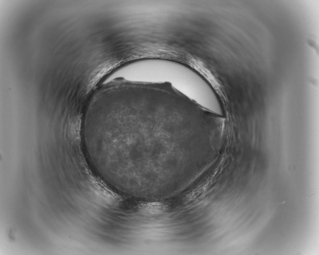 X0000095550058200712281615