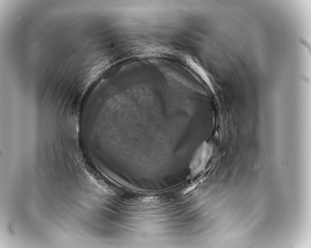 X0000095550059200712281615