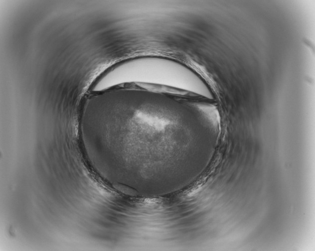 X0000095550060200712281615