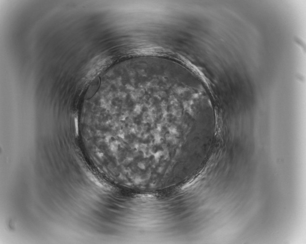 X0000095550061200712281615