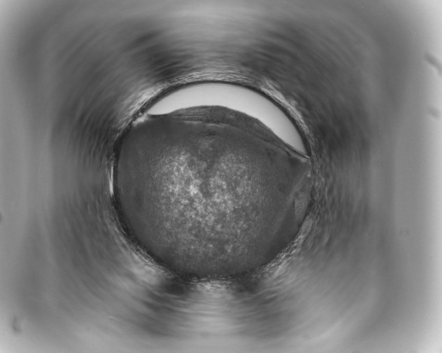 X0000095550062200712281615