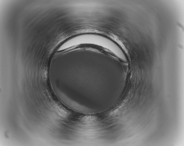 X0000095550063200712281615