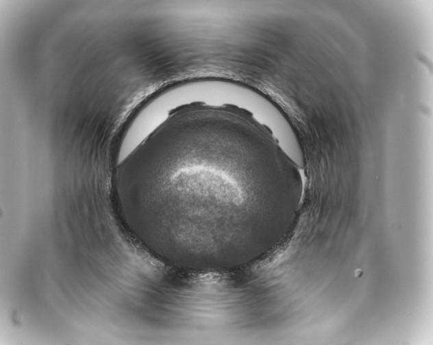 X0000095550064200712281615