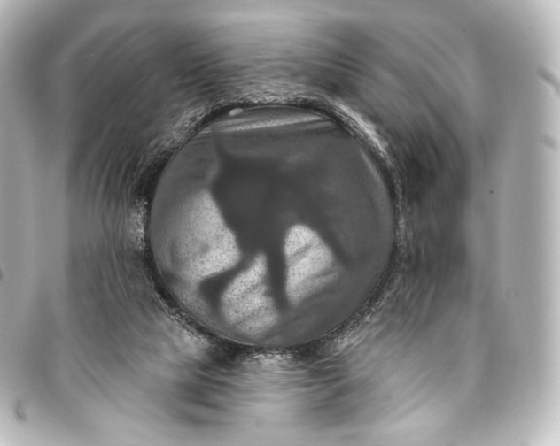 X0000095550065200712281615