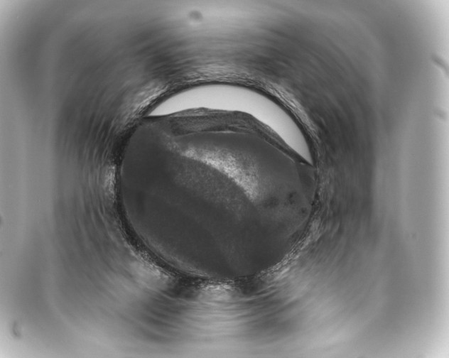 X0000095550066200712281615