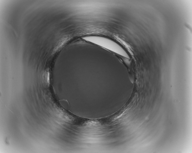 X0000095550067200712281615