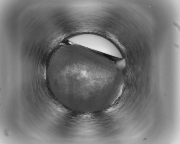 X0000095550068200712281615