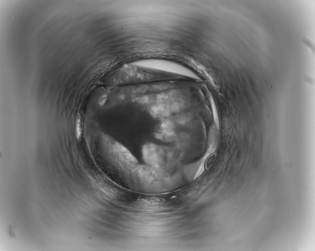 X0000095550069200712281615