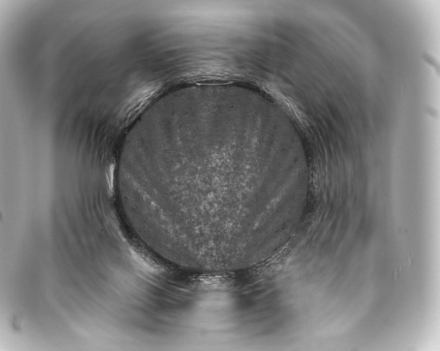 X0000095550070200712281615