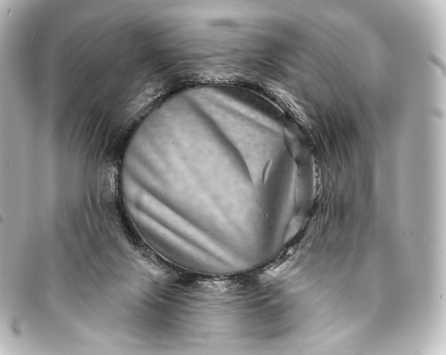 X0000095550071200712281615