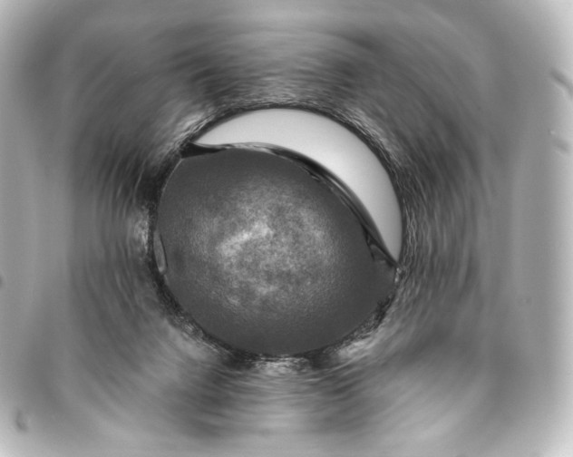 X0000095550072200712281615