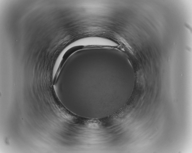 X0000095550073200712281615