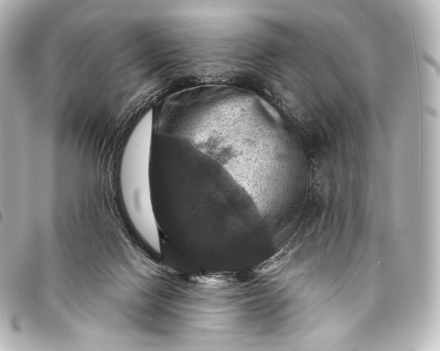 X0000095550074200712281615