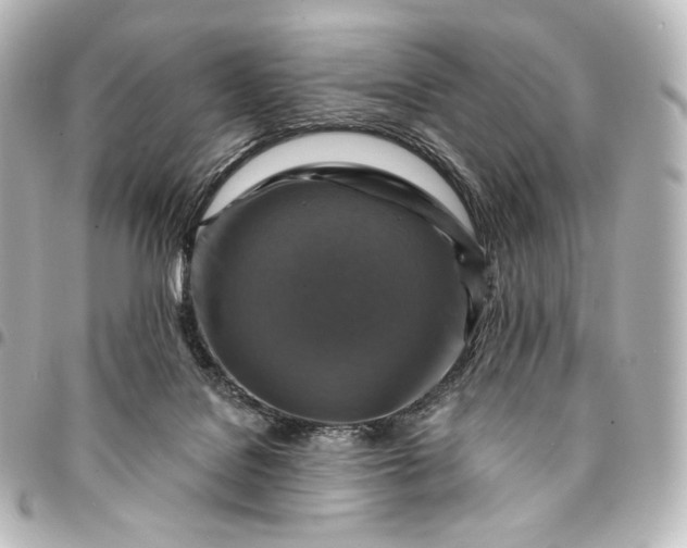 X0000095550076200712281615