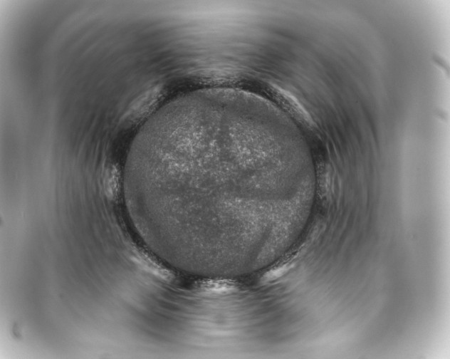 X0000095550077200712281615