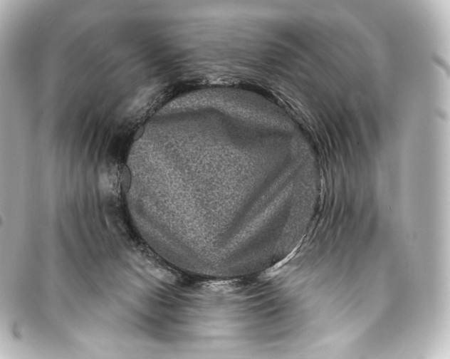 X0000095550078200712281615