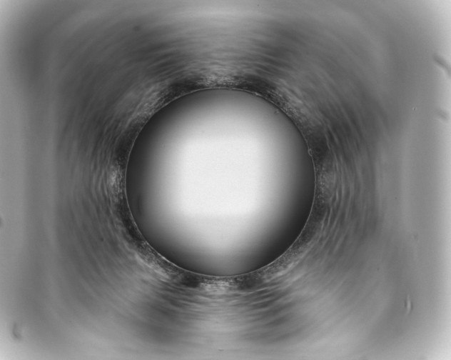 X0000095550079200712281615