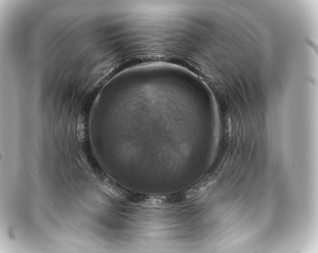 X0000095550080200712281615