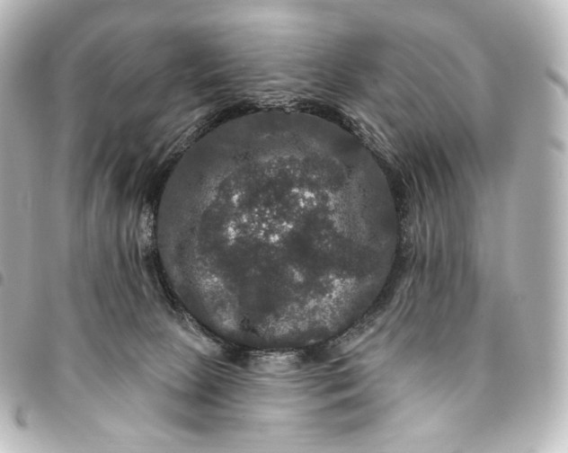 X0000095550081200712281615