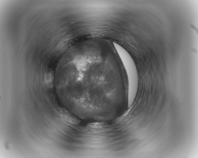 X0000095550082200712281615