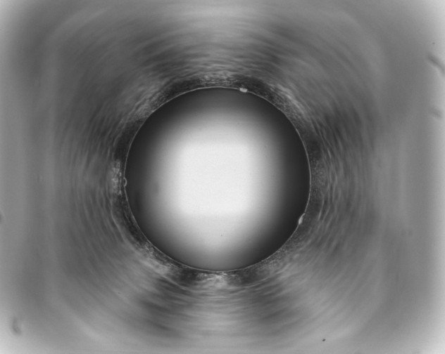 X0000095550083200712281615