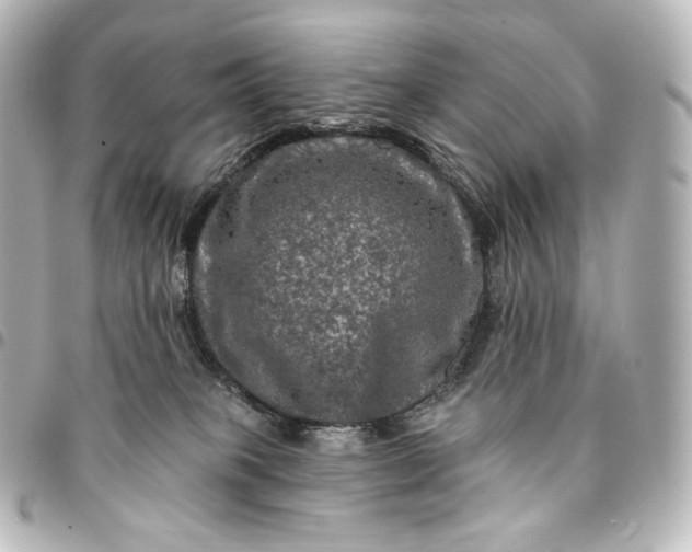 X0000095550085200712281615