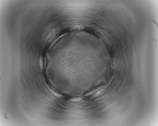 X0000095550086200712281615