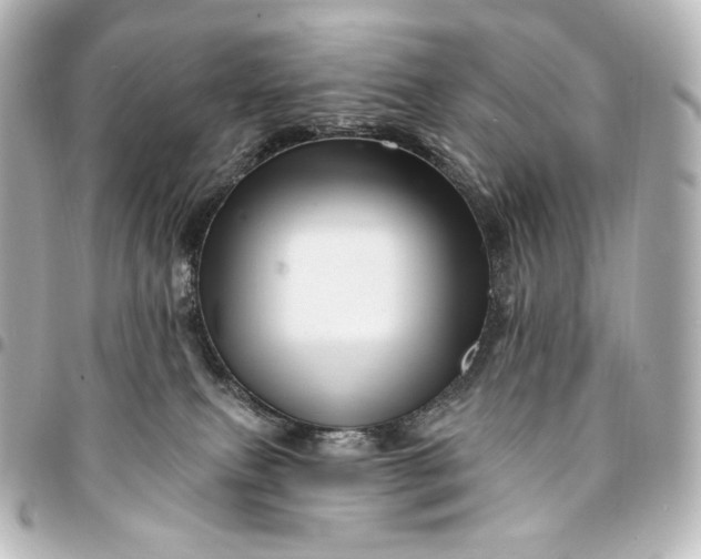 X0000095550087200712281615