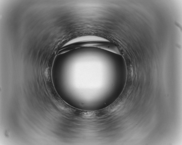 X0000095550088200712281615