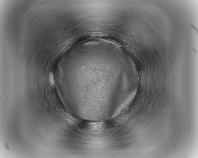 X0000095550089200712281615