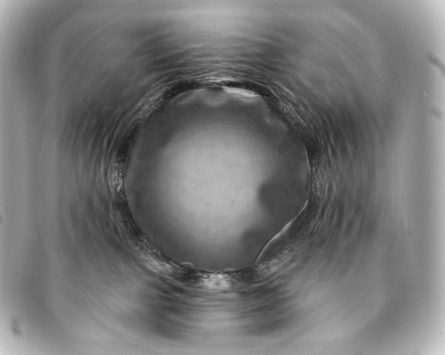 X0000095550091200712281615