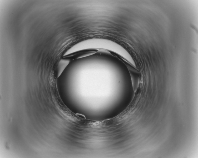 X0000095550092200712281615