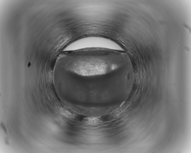 X0000095550093200712281615