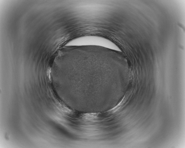 X0000095550094200712281615