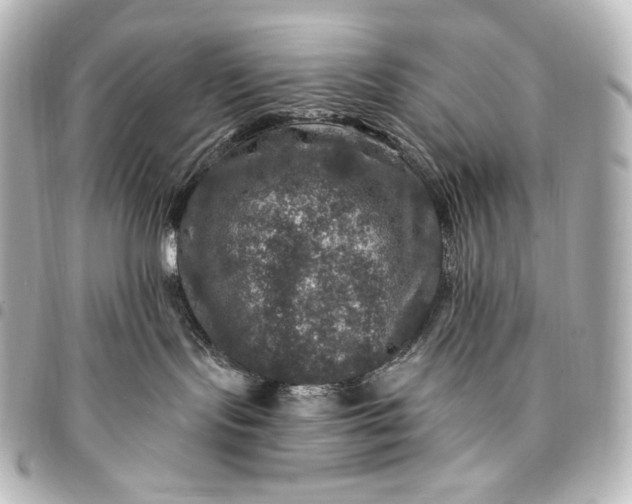 X0000095550095200712281615