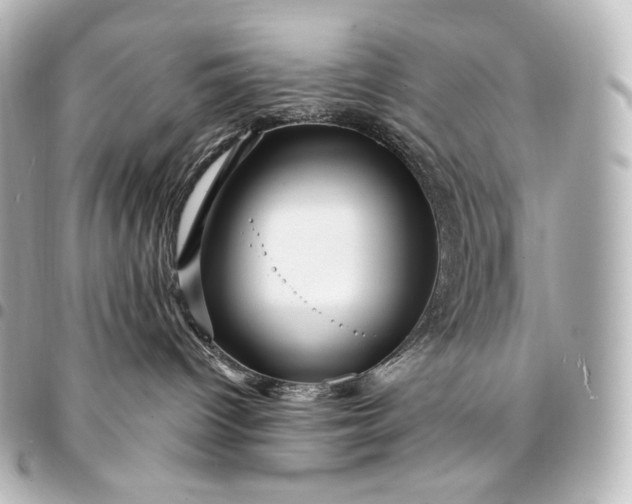 X0000095550096200712281616