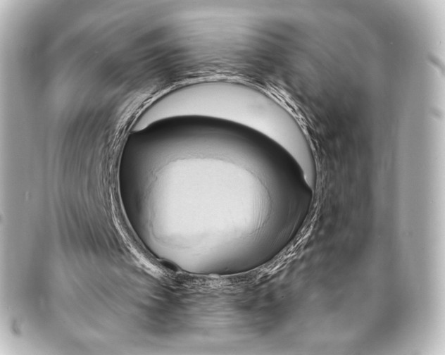 X0000095550097200712281615