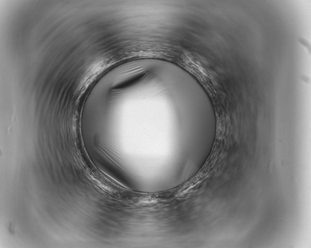 X0000095550098200712281615