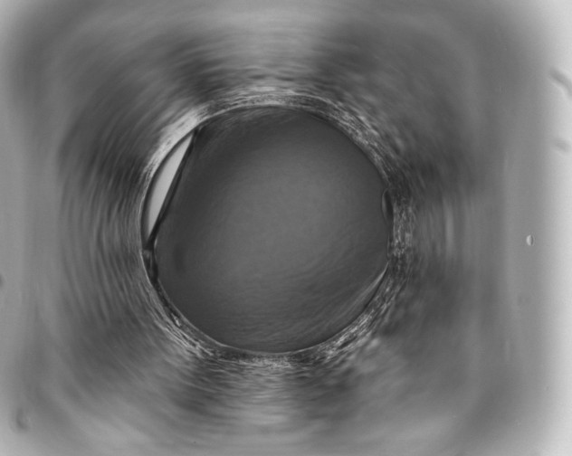 X0000095550099200712281615