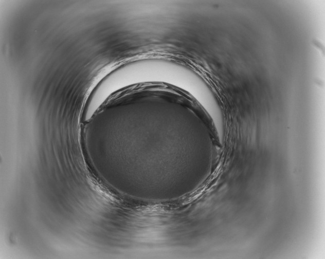 X0000095550100200712281615