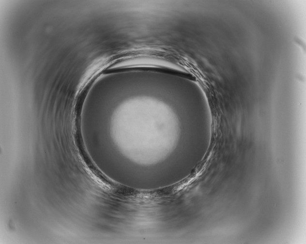 X0000095550101200712281615