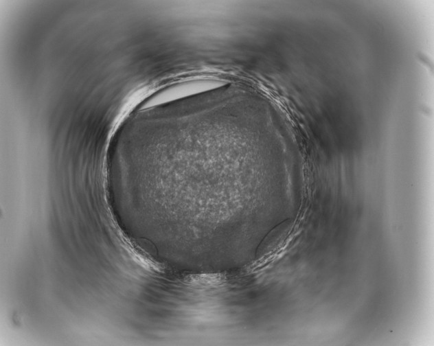 X0000095550102200712281615