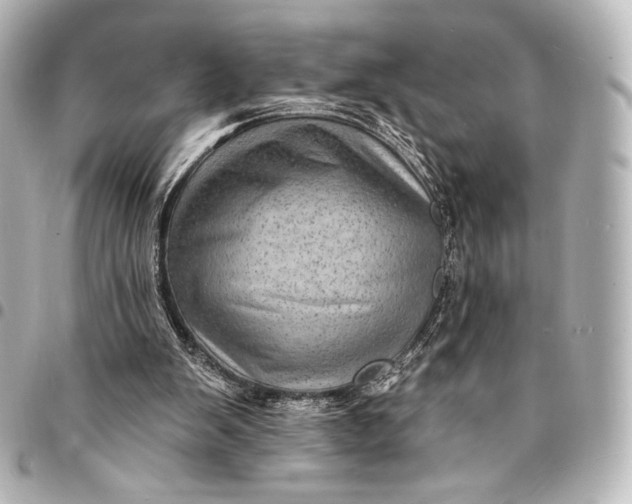 X0000095550103200712281615