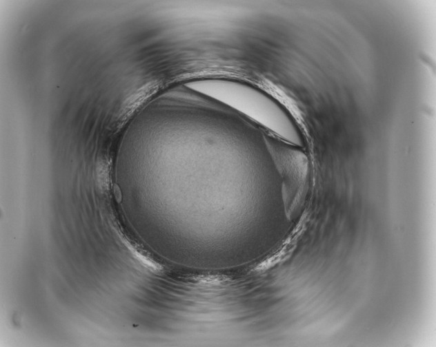 X0000095550105200712281615